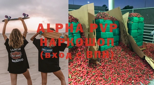сатива Абаза