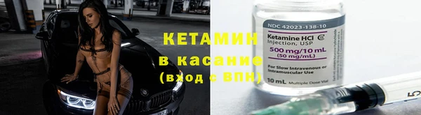 сатива Абаза