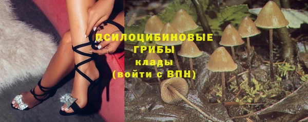 сатива Абаза