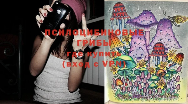 сатива Абаза